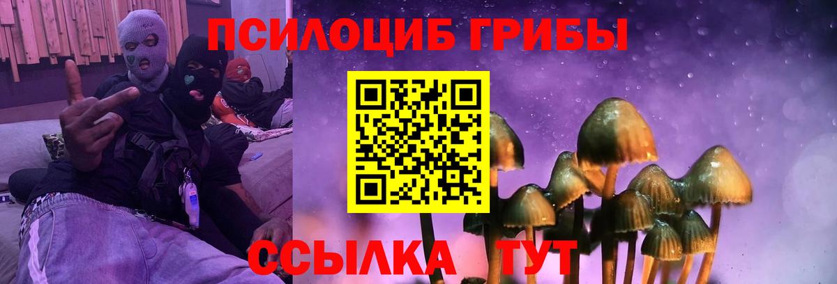 Псилоцибиновые грибы Psilocybe  Вход с VPN  Ногинск 